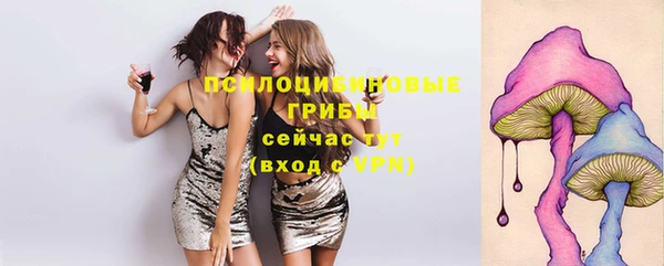мяу мяу кристалл Горно-Алтайск