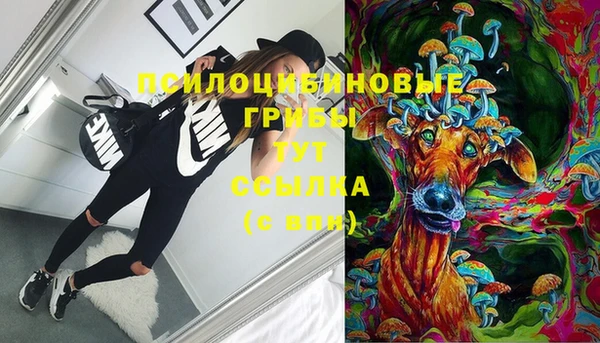 крисы Горнозаводск