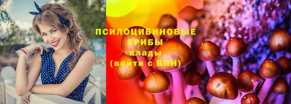 герыч Горняк